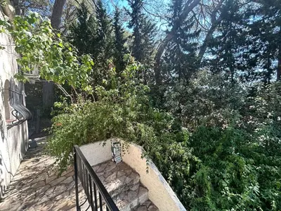 a stairway with a fence and some bushes and trees at Maison provençale in Le Cannet
