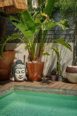 a swimming pool with plants and a statue next to a pool at FRGK Villa Bohème Chic Private Pool UltraFast WiFi in Le Cannet