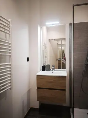 a bathroom with a sink and a shower at L'Ecrin Festivalier Standing Presta in Cannes