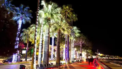 a group of palm trees on a street at night at Sea view, Luminous, Terrace, Garage, AC, Design in Cannes