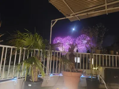 a group of potted plants in front of a fence at night at Rooftop apartment Cannes center - Parking in Cannes