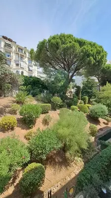 a garden with bushes and a tree and a building at Beau studio centre Cannes Maréchal Juin in Cannes