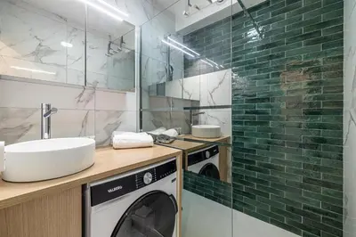 a bathroom with a washing machine and a sink at LE CHATAIGNIER avec terrasse au calme et central in Cannes