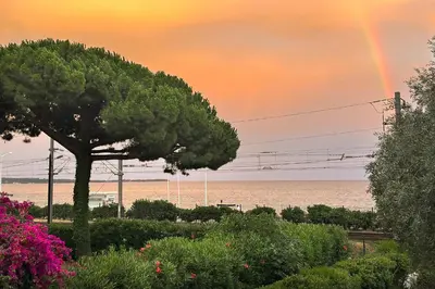 a rainbow in the sky over the ocean with a tree at Elegant 2 Br with parking in Cannes