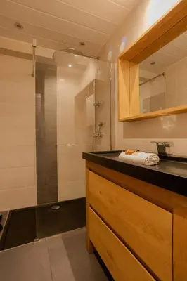 a bathroom with a sink and a shower at Cannes 2 pièces lumineux terrasse ensoleillée in Cannes