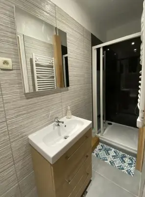 a bathroom with a sink and a shower and a mirror at Appartement Le Central Park in Le Cannet