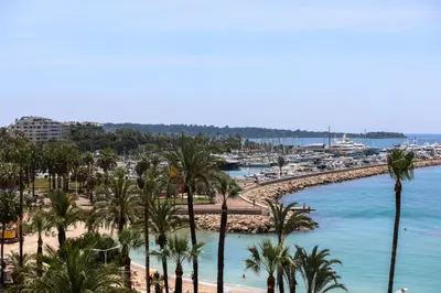 a view of a beach with palm trees and a harbor at REF 2006 - Cannes Croisette - Luxurious apartment with sea view for rent in Cannes
