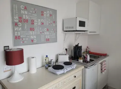 a small kitchen with a stove and a microwave at Centre Cannes Victor Cousin in Cannes