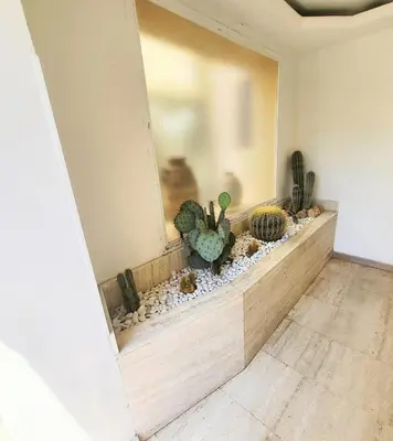 a room with a counter with cactuses and rocks at Exceptional 3-room apartment in quiet Cannes in Cannes