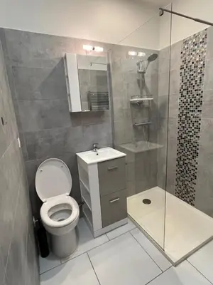 a bathroom with a toilet and a shower at La petite MAISON BLANCHE CANNES in Cannes