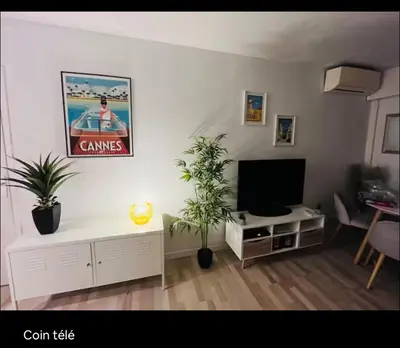 a living room with a flat screen tv and plants at Terrasse Clim Wifi Parking 10 min à pieds de la Croisette in Cannes