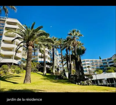 a group of palm trees in front of a building at Terrasse Clim Wifi Parking 10 min à pieds de la Croisette in Cannes