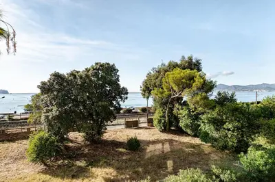 a group of trees with the ocean in the background at Luxury Apartment with Sea View and Private Beach Access in Cannes