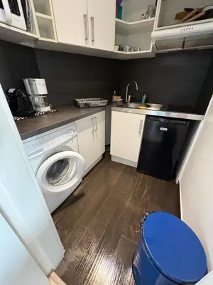 a small kitchen with a washing machine and a sink at Studio lumineux, terrasse, clim, parking, centre ville in Cannes