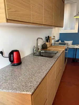 a kitchen with a sink and a counter top at Elégant appartement 2 pièces centre Cannes Croisette plages in Cannes