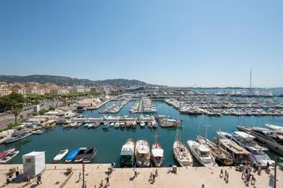 a group of boats docked in a harbor at Cozystay 1243 Port & Sea View Cannes in Cannes