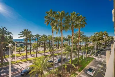 a view of a street with palm trees and the ocean at Wonderful 2 bedroom facing the Croisette in Cannes
