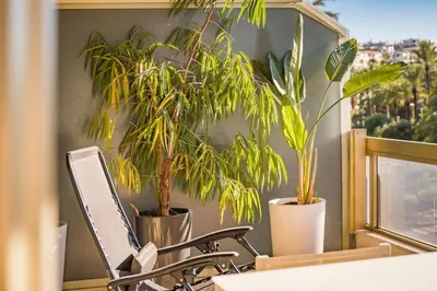 a desk with a chair and two potted plants at Wonderful 2 bedroom facing the Croisette in Cannes