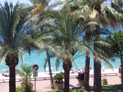 a group of palm trees in front of a beach at Appartement Rottaro luxueux 2 ch 2 sdb face à la mer in Cannes