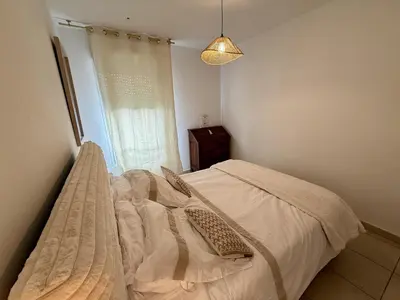 a bedroom with a bed with a mosquito net at DAPHNE, appartement piscine in Cannes