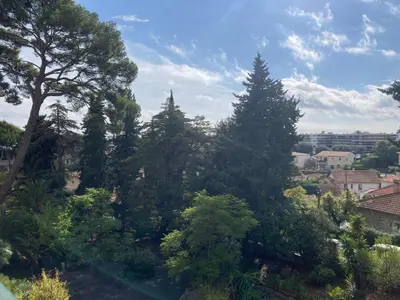 a group of trees on top of a city at Superbe appartement T3 à 2km centre Cannes in Le Cannet