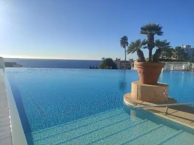 a large swimming pool with a potted tree on the side at Studio cabine Cannes - Vue mer - Piscine - Parking in Cannes