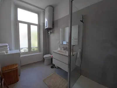 a bathroom with a shower and a sink and a toilet at Lecerf in Cannes