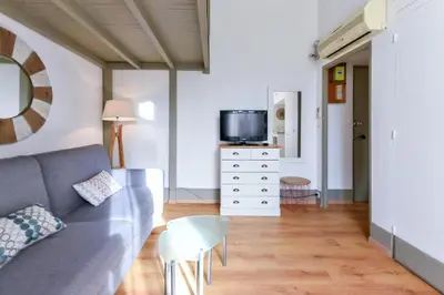 a living room with a couch and a tv at Studio élégant pour 4 personnes, à quelques pas de la Croisette in Cannes