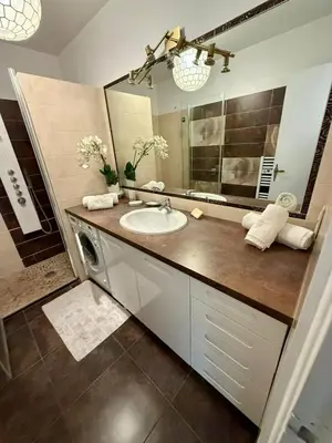 a bathroom with a sink and a washing machine at Spacious 2-Bedroom Apartment with Terrace Prime Location in Cannes in Cannes