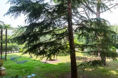 a view of a park with a pine tree at Résidence 3p Traversant à 2 Min Des Plages, Parking Privé - 3P traversant à 2 min des plages, parking privé MAE-1583 in Cannes