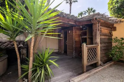 a wooden house with a palm tree in front of it at Résidence Superbe Villa Avec Piscine & Sauna - Superbe villa avec piscine & sauna MAE-2283 in Cannes