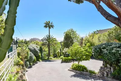 a garden with palm trees and bushes at Résidence 2p Au Calme, Vue Mer, Piscine Et Garage. - 2P au calme, vue mer, piscine et garage. MAE-2633 in Cannes