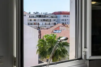 a view of a palm tree from a window at Résidence Appartement Lumineux Centre Cannes - Appartement lumineux Centre Cannes MAE-3193 in Cannes
