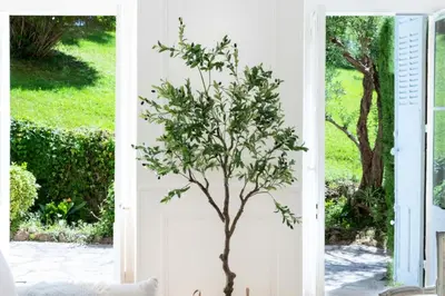 a tree in front of a door at Résidence 4p Bourgeois Rez-de-jardin, Proche Croisette & Plages - 4P Bourgeois Rez-de-jardin, proche Croisette & Plages MAE-3243 in Cannes