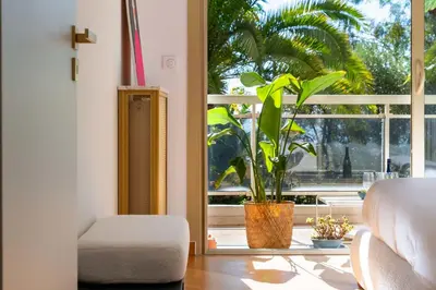 a living room with a plant and a window at 3-Br Apartment Sea View Terrace & Parking in Cannes