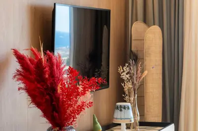 a mirror on a wall with red flowers in a room at Résidence 3p Terrasse Vue Mer – Résidence De Standing - 3P Terrasse Vue Mer – Résidence de Standing MAE-3293 in Cannes
