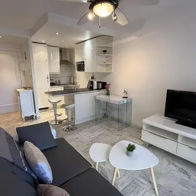 Central Studio in Cannes Near The Martinez - 2351