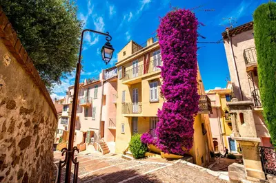 a building covered in purple flowers on a street at Studio near Palais des Festivals in Cannes