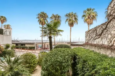 a view of palm trees and a retaining wall at Cannes Sea View - Port du Moure Rouge - Happy Rentals in Cannes