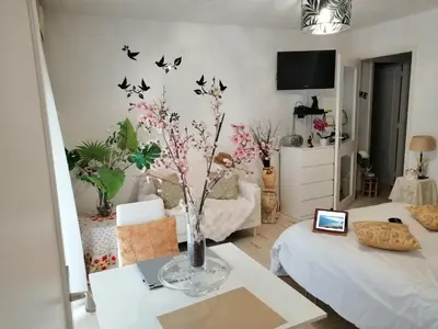 a living room with a vase with birds on the wall at Yes I Cannes in Cannes