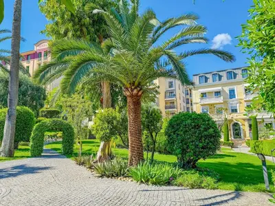a palm tree in a park in front of a building at Terranova Cannes Terrace Accommodation in Cannes
