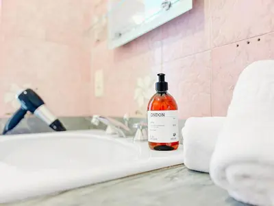 a bottle of soap sitting on top of a bathroom sink at Cannes Montfleury - Comfortable accommodation Center in Cannes