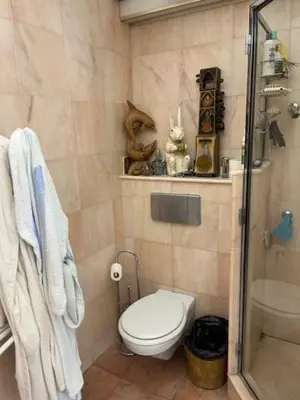 a small bathroom with a toilet and a shower at Rocamare, la Vie est Belle! in Cannes