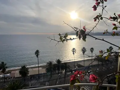 a view of a beach with palm trees and the ocean at Rocamare, la Vie est Belle! in Cannes