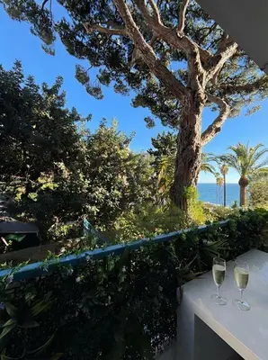 a table with two glasses of wine and a tree at Long Beach Apartment Cannes in Cannes
