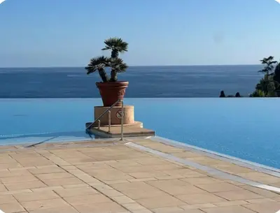 a plant in a pot sitting next to a pool at Vue mer piscine parking tennis 4 personnes in Cannes
