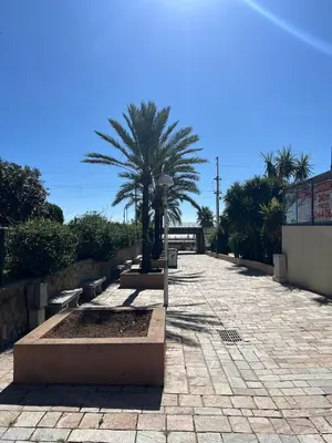 a pathway with a palm tree and a street light at Charming studio 2 min from beach in La Celle-sous-Gouzon