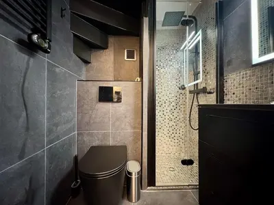 a bathroom with a toilet and a shower at Appart 3 chambres, Cannes centre & plages in Cannes