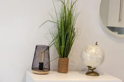 a shelf with two vases and a plant on it at Croisette, studio with garden, air conditioning in Cannes
