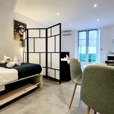 Large studio just 6 minutes away from the Palais and the Croisette